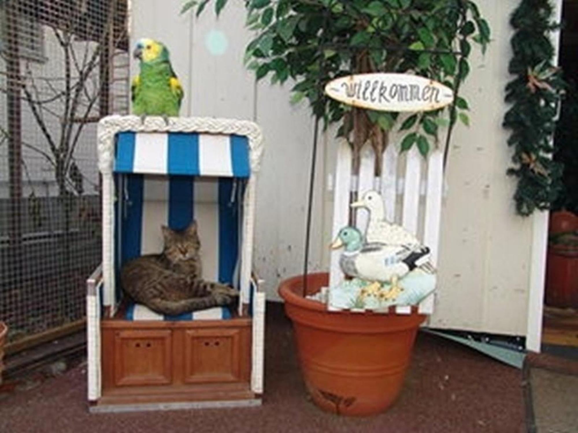 Wohnung In Luebbenauspreewald Mit Garten, Terrasse Und Grill Екстер'єр фото